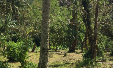 Lot For Sale in Tagaytay with Overlooking Taal Lake. Best Buy!