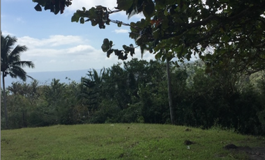 Lot For Sale in Tagaytay with Overlooking Taal Lake. Best Buy!