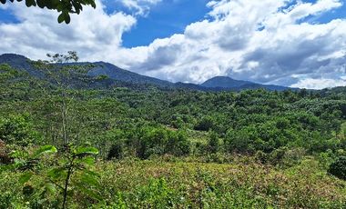 Farm for sale in Bukidnon, Malitbog