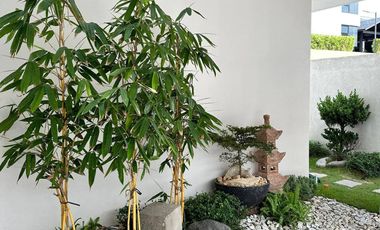 Muji Theme Marquee Place Subdivision 4BR House and Lot FOR SALE in Pampanga