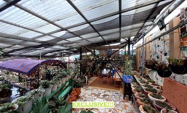 Classic Spanish Colonial-inspired House with 21 Bedroom for Sale!!!