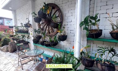 Classic Spanish Colonial-inspired House with 21 Bedroom for Sale!!!