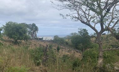 For Sale: Residential Lots with Ocean and Mountain View, Ajong, Sibulan