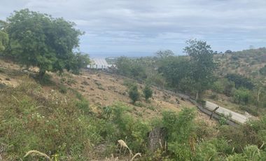 For Sale: Residential Lots with Ocean and Mountain View, Ajong, Sibulan