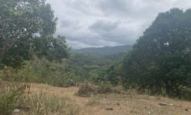 For Sale: Residential Lots with Ocean and Mountain View, Ajong, Sibulan
