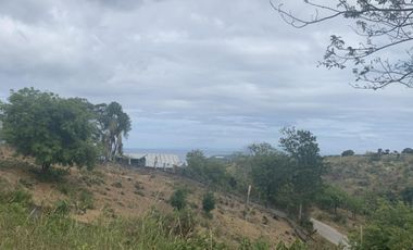 For Sale: Residential Lots with Ocean and Mountain View, Ajong, Sibulan