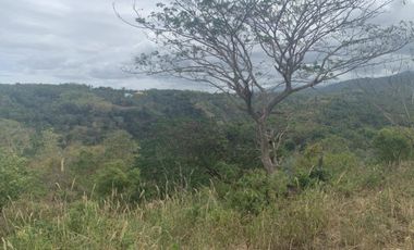 For Sale: Residential Lots with Ocean and Mountain View, Ajong, Sibulan