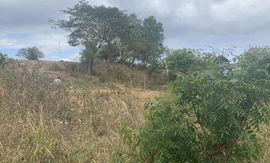 For Sale: Residential Lots with Ocean and Mountain View, Ajong, Sibulan