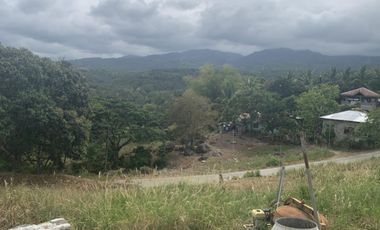 For Sale: Residential Lots with Ocean and Mountain View, Ajong, Sibulan