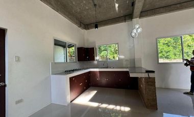 Modern Two-Storey House and Lot in West Balabag, Valencia ID 14962