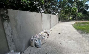 Modern Two-Storey House and Lot in West Balabag, Valencia ID 14962