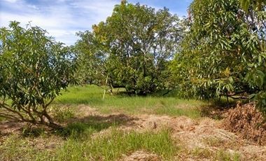 2240SQM Residential Lot for sale in Cupang, Arayat