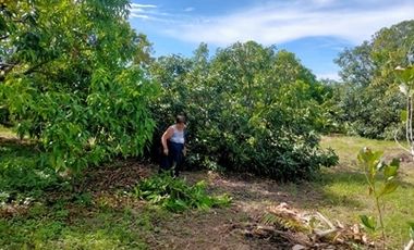 2240SQM Residential Lot for sale in Cupang, Arayat