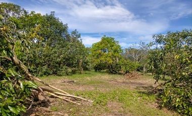 2240SQM Residential Lot for sale in Cupang, Arayat