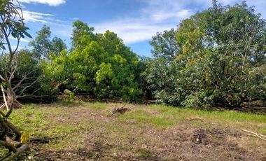 2240SQM Residential Lot for sale in Cupang, Arayat