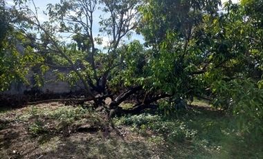 2240SQM Residential Lot for sale in Cupang, Arayat