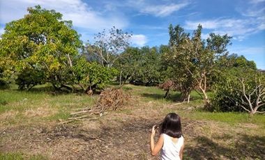 2240SQM Residential Lot for sale in Cupang, Arayat