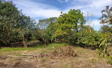 2240SQM Residential Lot for sale in Cupang, Arayat