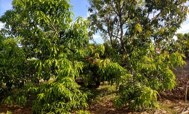 2240SQM Residential Lot for sale in Cupang, Arayat