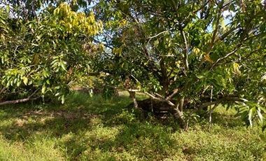 2240SQM Residential Lot for sale in Cupang, Arayat