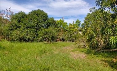 2240SQM Residential Lot for sale in Cupang, Arayat