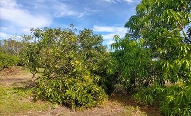 2240SQM Residential Lot for sale in Cupang, Arayat