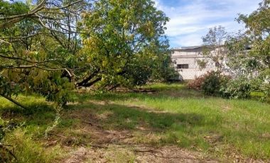 2240SQM Residential Lot for sale in Cupang, Arayat