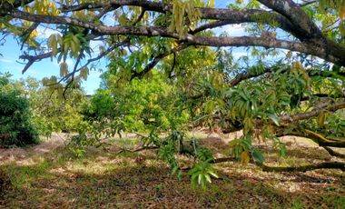 2240SQM Residential Lot for sale in Cupang, Arayat