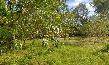 2240SQM Residential Lot for sale in Cupang, Arayat