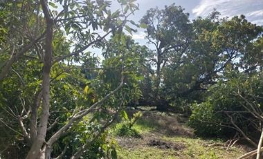 2240SQM Residential Lot for sale in Cupang, Arayat