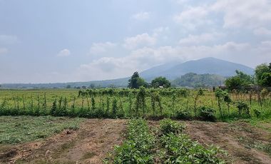 Prime Residential Lot Available in Baliti, Arayat, Pampanga