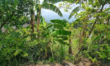 Prime Residential Lot Available in Baliti, Arayat, Pampanga