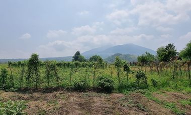 Prime Residential Lot Available in Baliti, Arayat, Pampanga