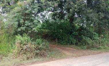 19H Lot for sale in Mabiga, Bataan