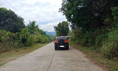 19H Lot for sale in Mabiga, Bataan