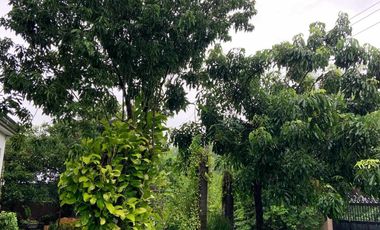 Natividad 4BR, clean title in Guagua, Pampanga for Sale