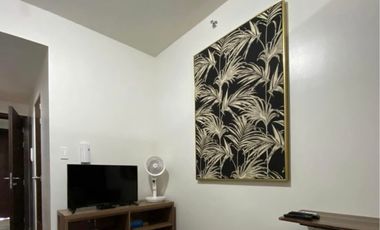 Affordable 26 SQM Furnished Condo SMDC Air Residences for rent