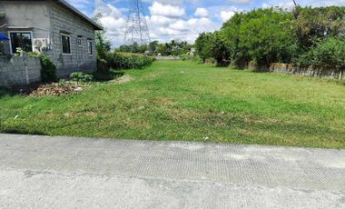 Residential Lot 1,865 sqm, clean title in San Vicente Concepcion, Tarlac