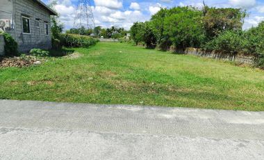 Residential Lot 1,865 sqm, clean title in San Vicente Concepcion, Tarlac