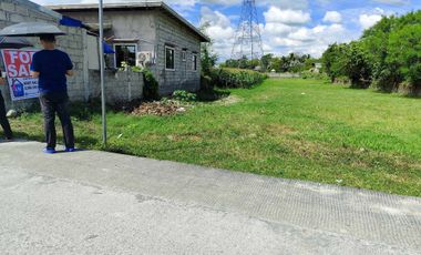 Residential Lot 1,865 sqm, clean title in San Vicente Concepcion, Tarlac