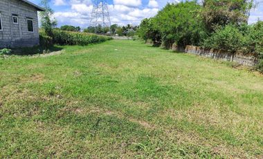 Residential Lot 1,865 sqm, clean title in San Vicente Concepcion, Tarlac