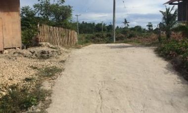 For Sale: House & Lot in Canjulao, Lapu-Lapu City