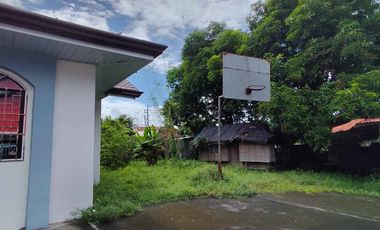 Jeffmin House & Lot 3BR, 601 sqm, clean title in Concepcion, Tarlac for Sale
