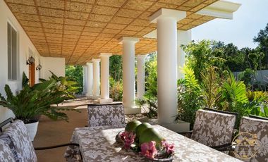 Luxury House Villa 6000 sq.m 5 Bedroom 6 Bathroom For Sale, Dauis