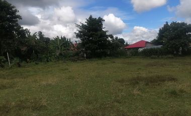 LOT FOR SALE IN VALENCIA ID 14955
