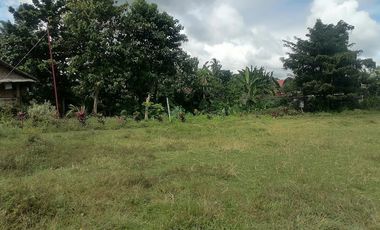 LOT FOR SALE IN VALENCIA ID 14955