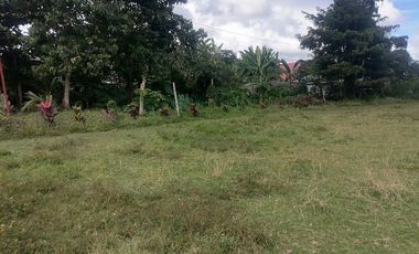 LOT FOR SALE IN VALENCIA ID 14955