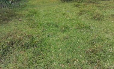LOT FOR SALE IN VALENCIA ID 14955