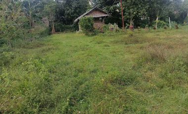 LOT FOR SALE IN VALENCIA ID 14955