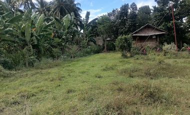 LOT FOR SALE IN VALENCIA ID 14955